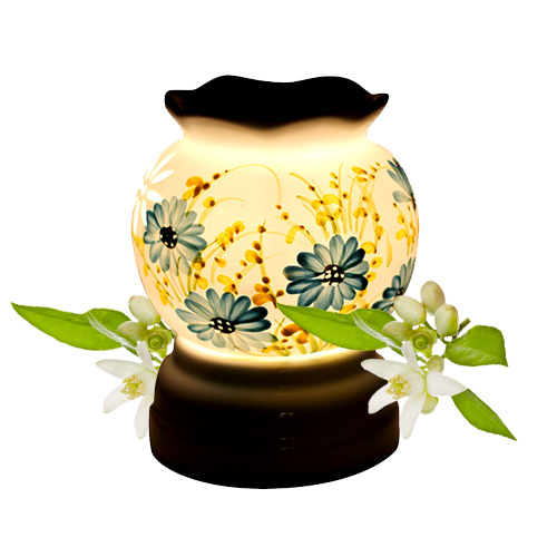 den-xong-huong-buoi